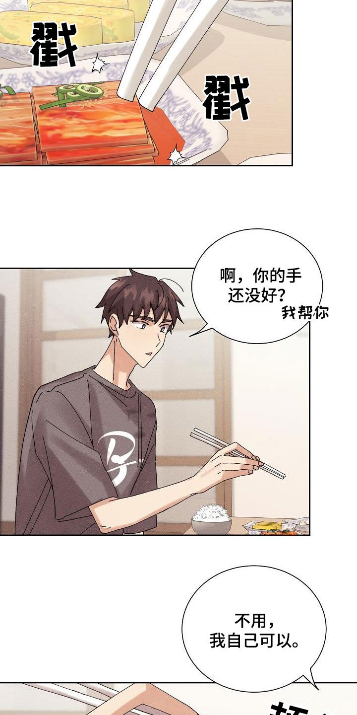 《失忆陷阱》第30章不想再爱 第13页