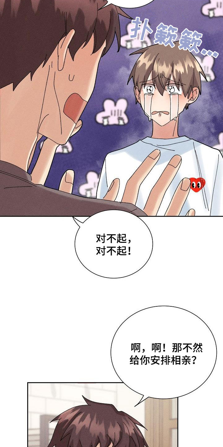 《失忆陷阱》第30章不想再爱 第15页