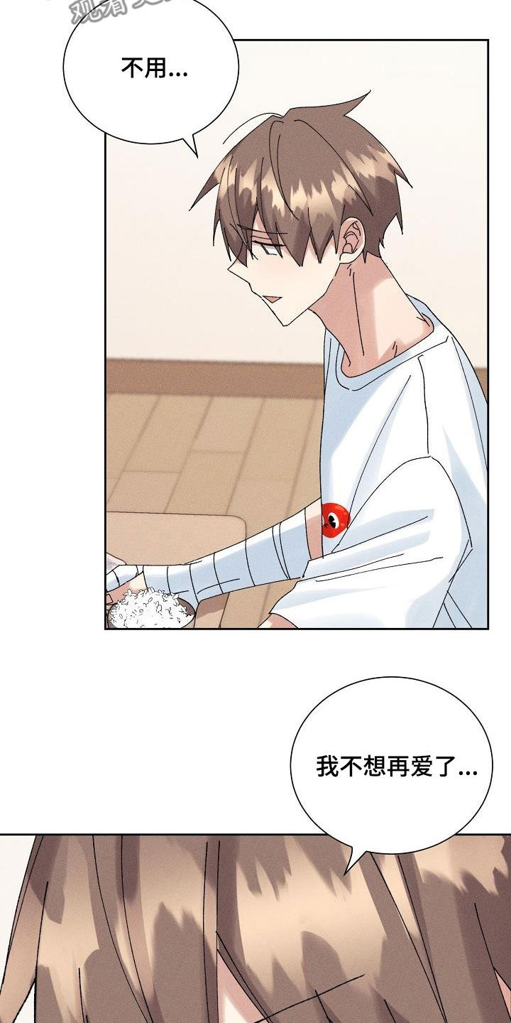 《失忆陷阱》第30章不想再爱 第17页