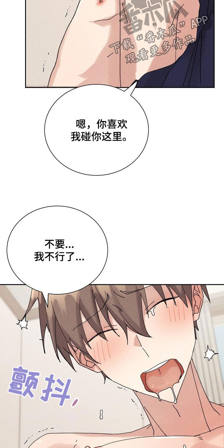 《失忆陷阱》第26章隐瞒 第13页