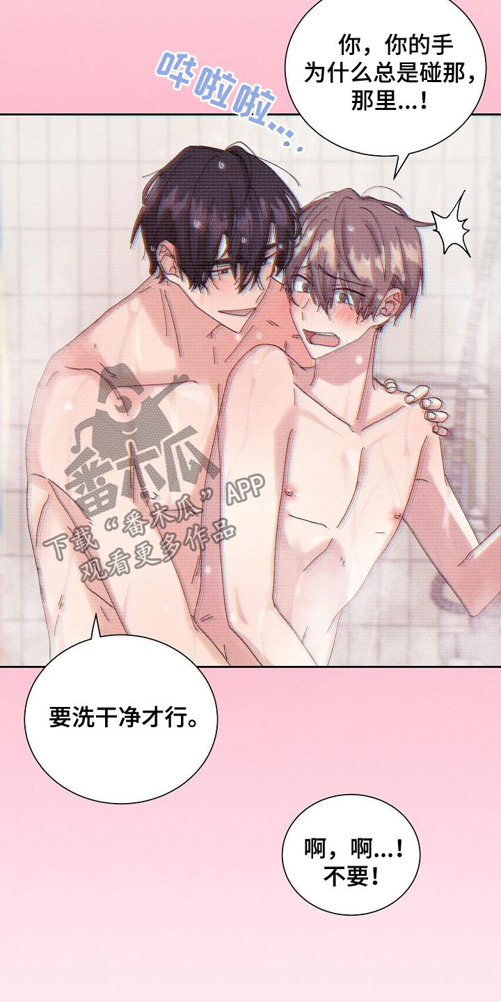 《失忆陷阱》第27章欺骗 第3页