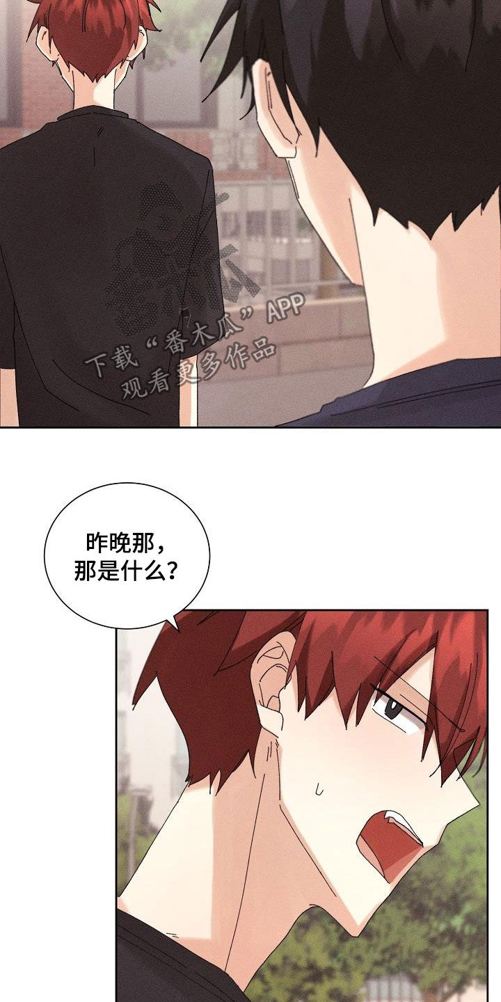 《失忆陷阱》第23章快递 第19页