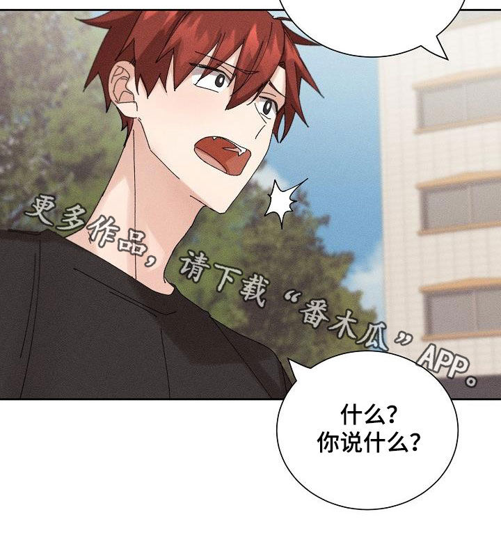 《失忆陷阱》第23章快递 第24页