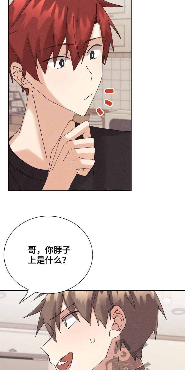 《失忆陷阱》第21章少管闲事 第17页