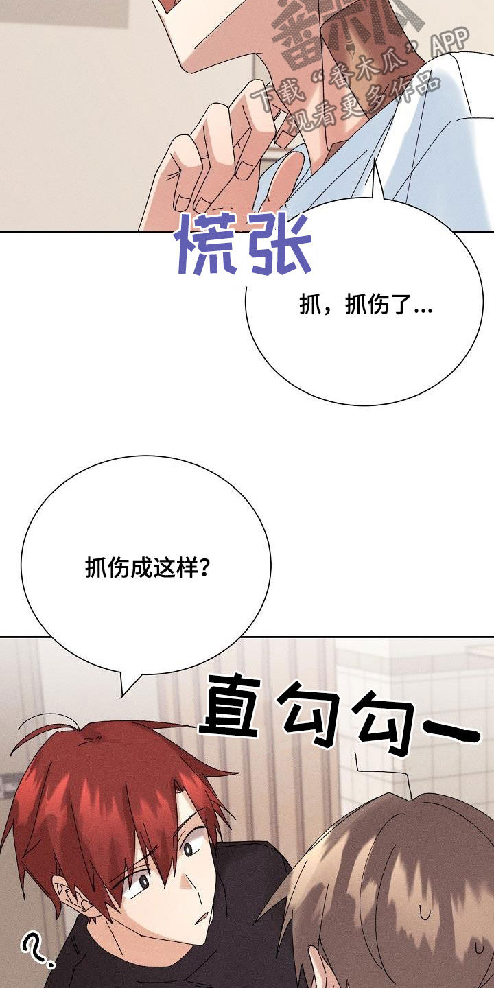 《失忆陷阱》第21章少管闲事 第18页