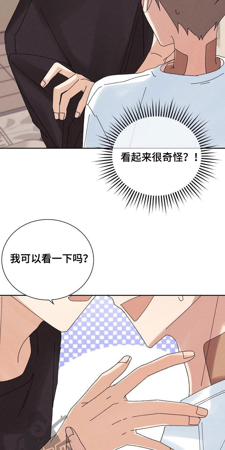 《失忆陷阱》第21章少管闲事 第19页