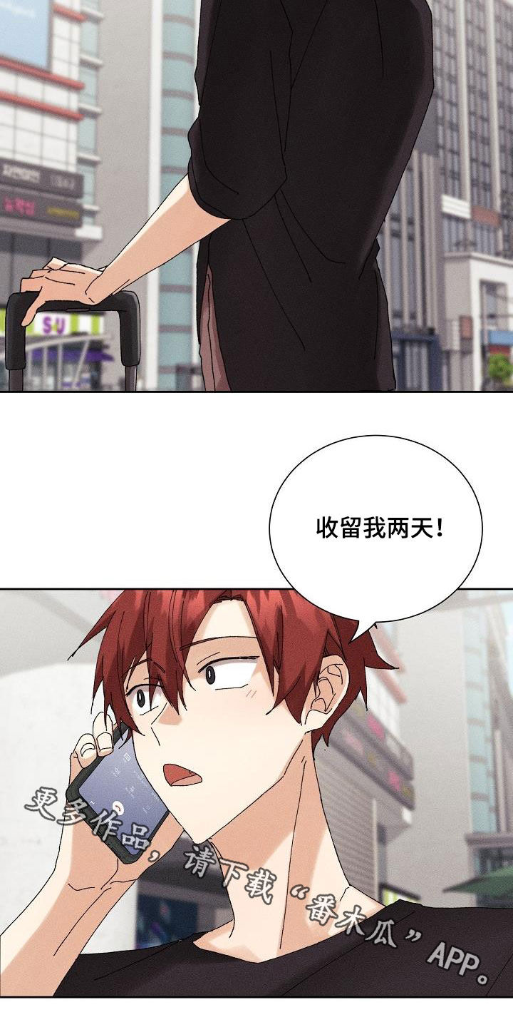 《失忆陷阱》第20章找回记忆 第24页
