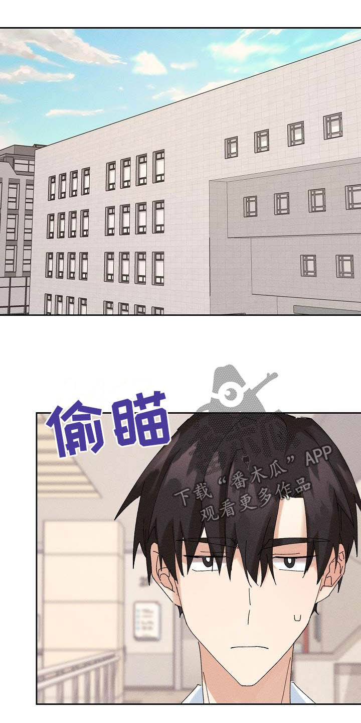 《失忆陷阱》第18章因为我爱你 第11页