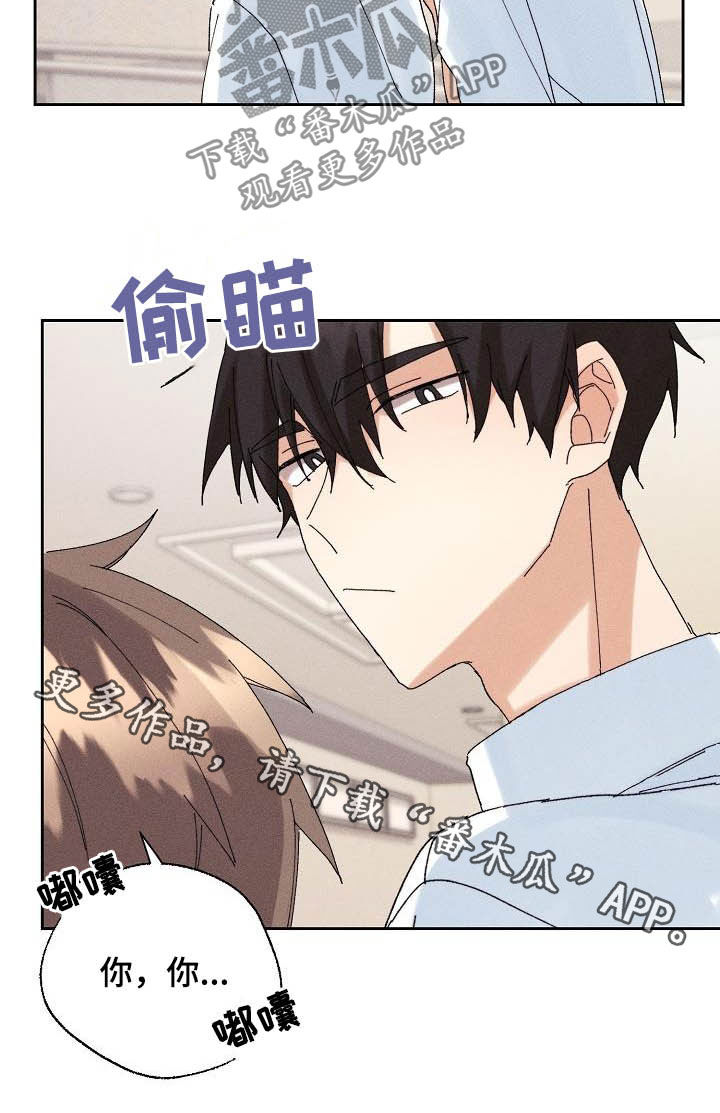 《失忆陷阱》第18章因为我爱你 第21页