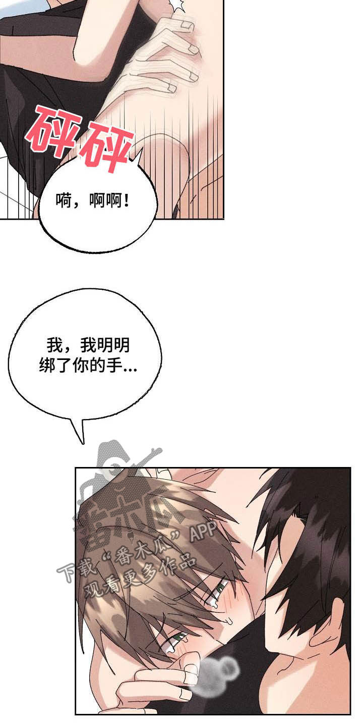 《失忆陷阱》第18章因为我爱你 第2页