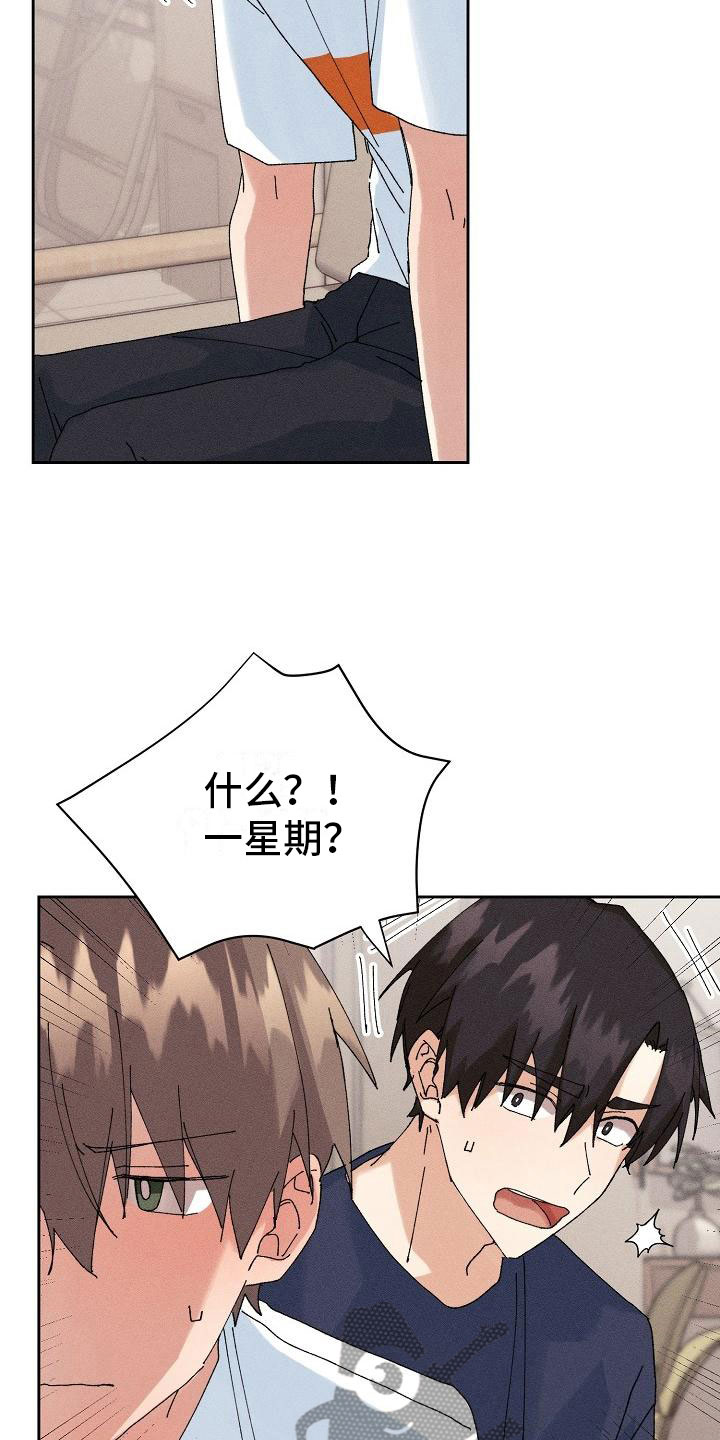 《失忆陷阱》第15章过度健康 第17页