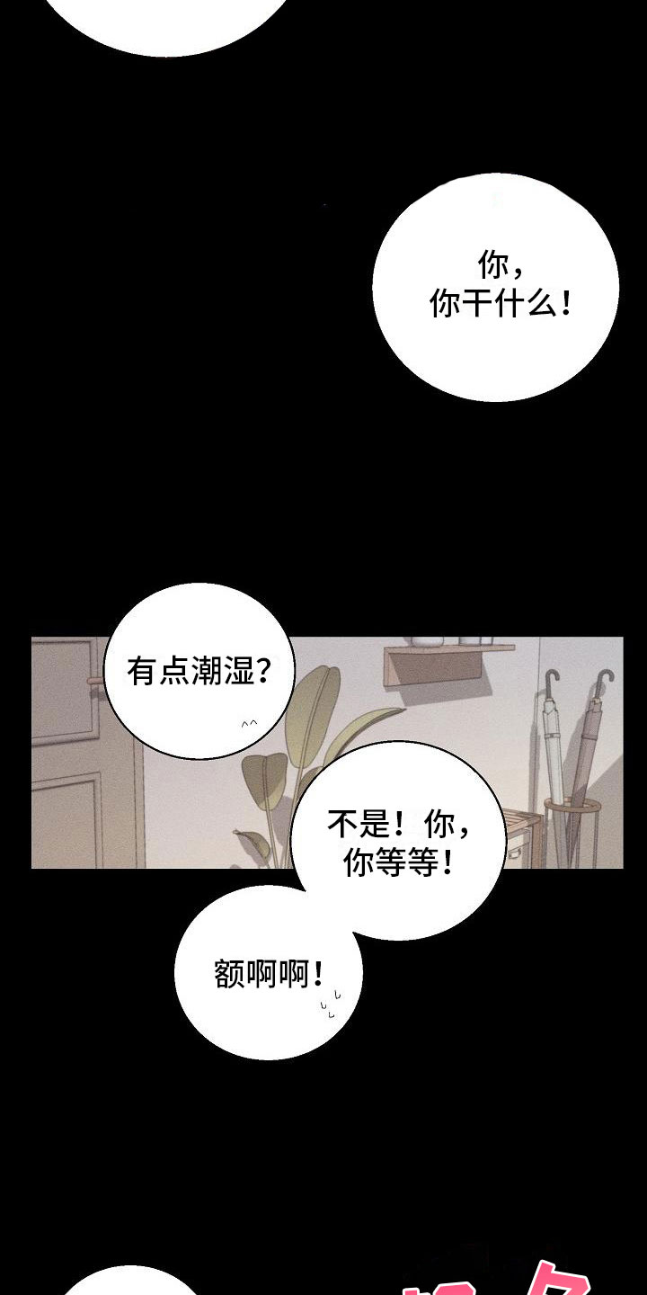 《失忆陷阱》第1章失忆 第14页