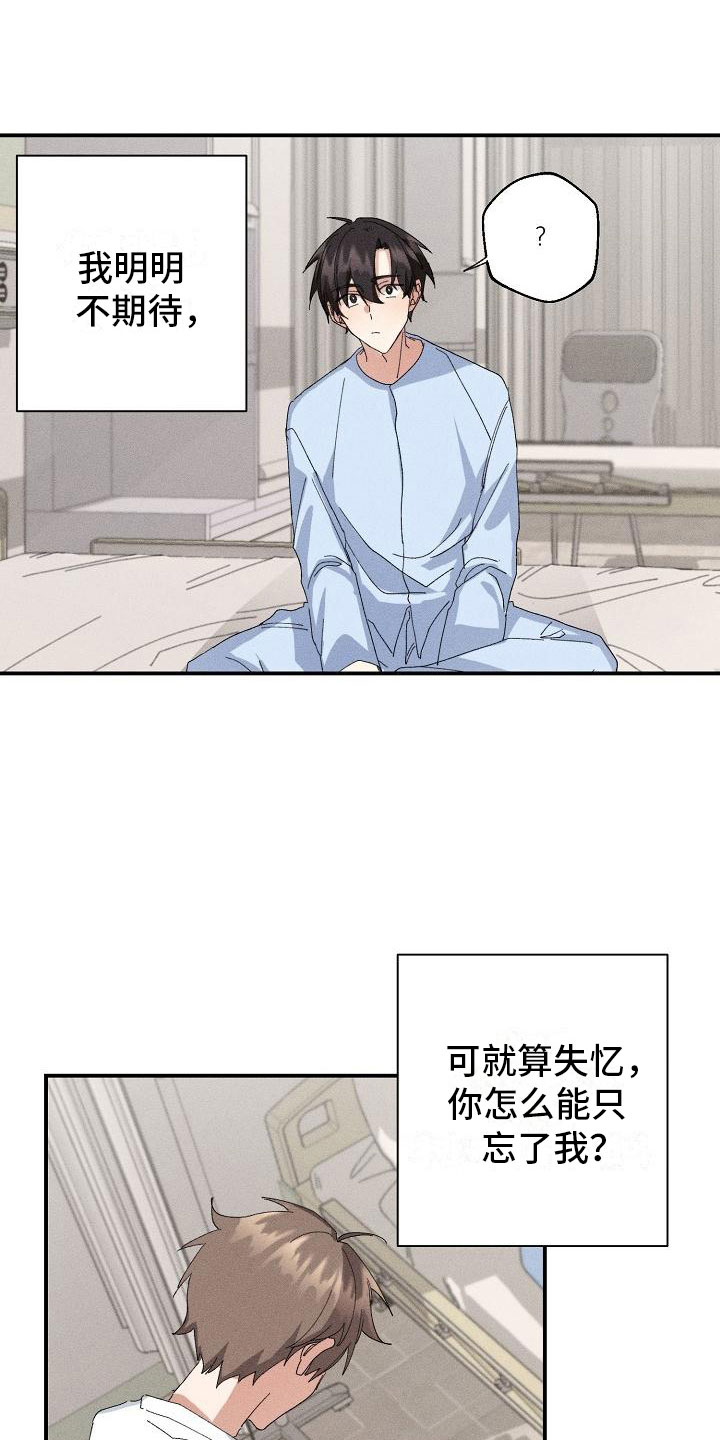 《失忆陷阱》第2章男友 第19页