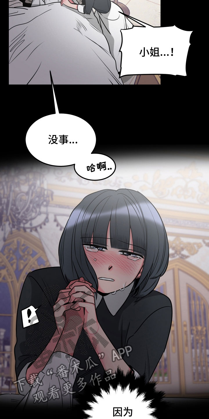 《主人与女仆》第11章回忆 第19页