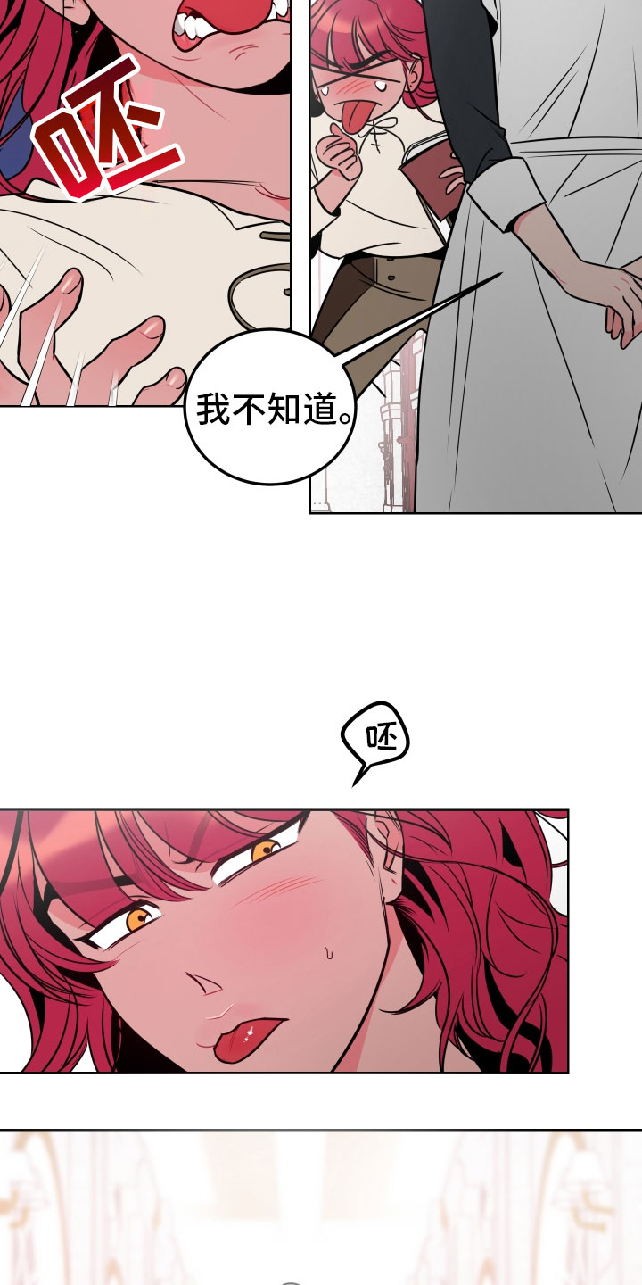 《主人与女仆》第1章不可爱的玛丽 第14页