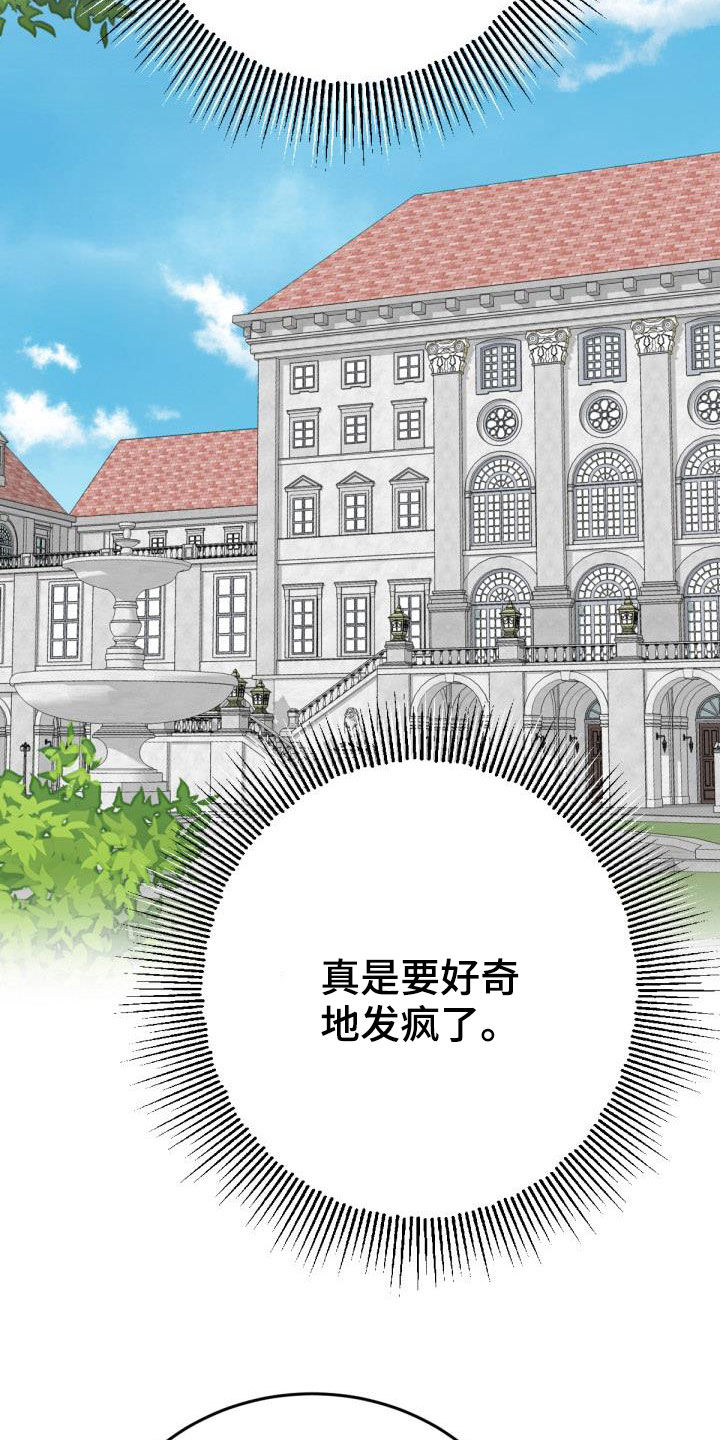 《美丽哭泣》第23章飞蛾扑火 第11页