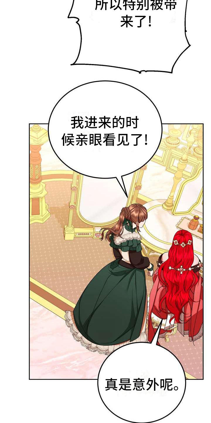 《美丽哭泣》第15章计划 第17页