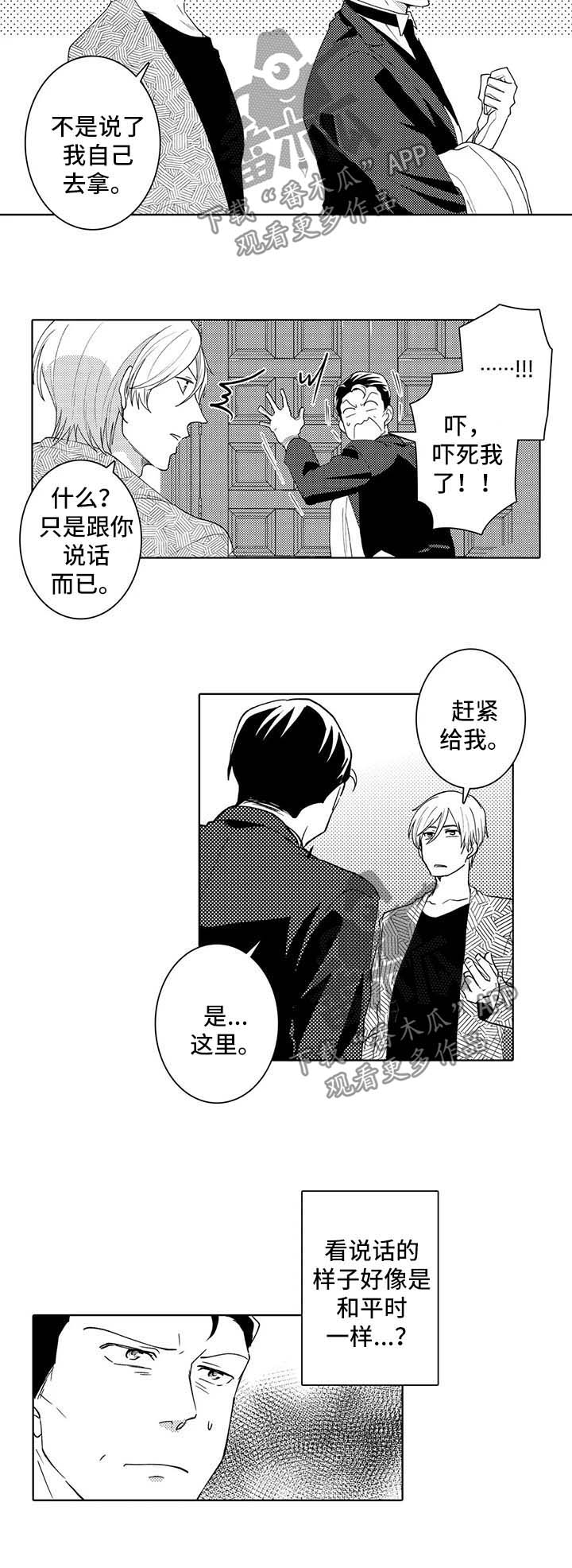 《贴身执事》第34章观察 第2页