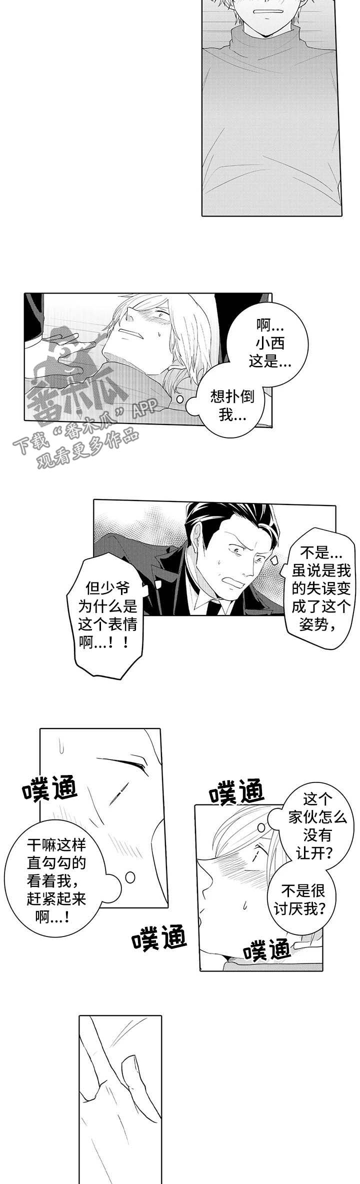 《贴身执事》第32章怀疑 第2页