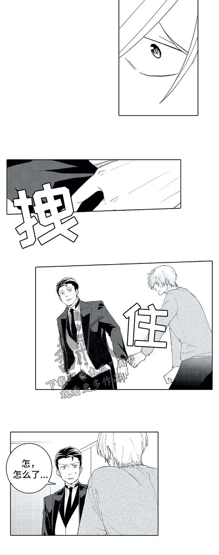 《贴身执事》第25章禁止外出 第3页