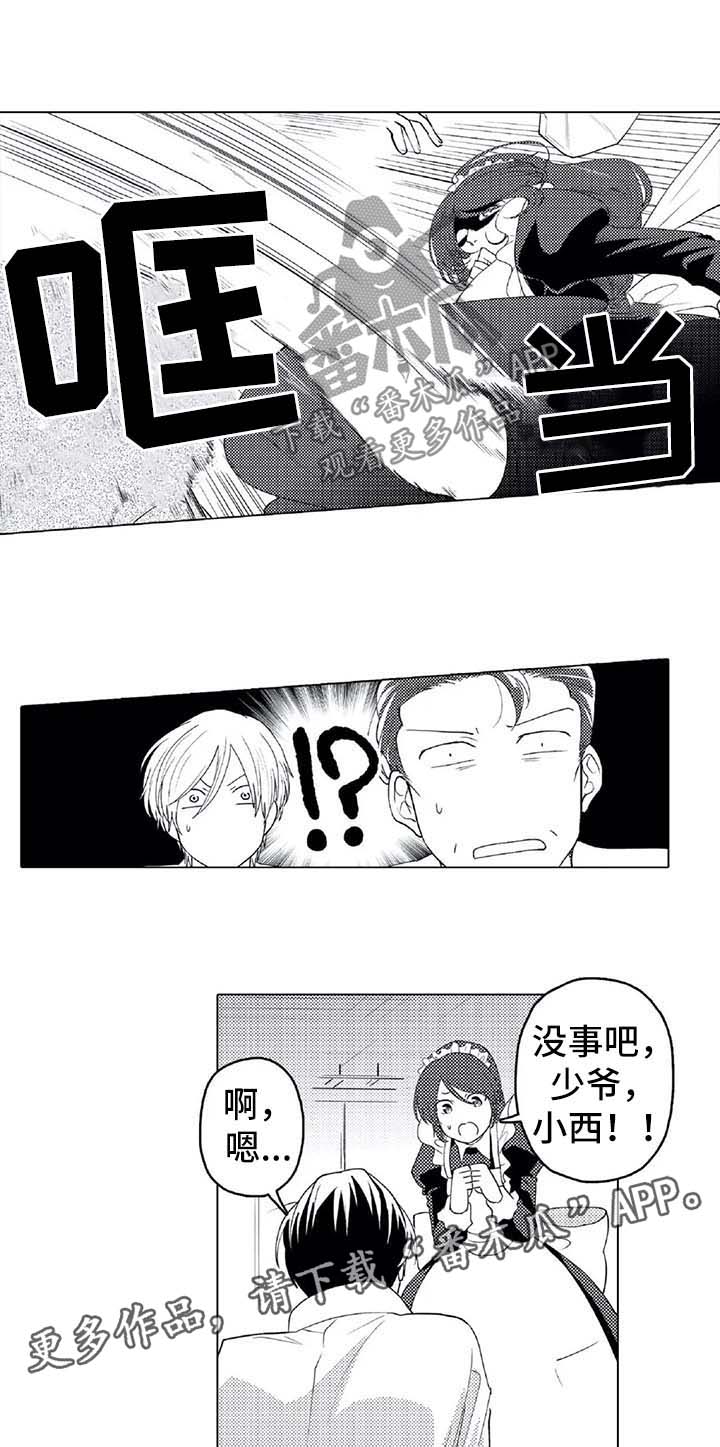 《贴身执事》第23章被救 第7页
