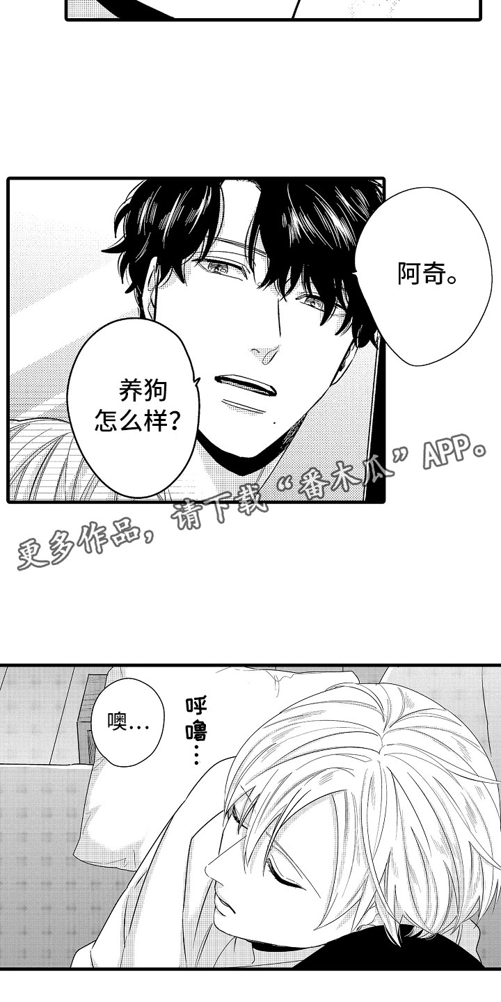 《婚姻协奏曲》第23章怀孕五周 第8页