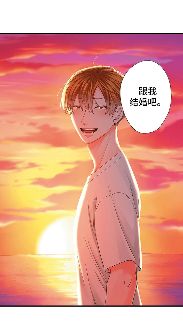 《婚姻协奏曲》第20章和我结婚吧 第18页
