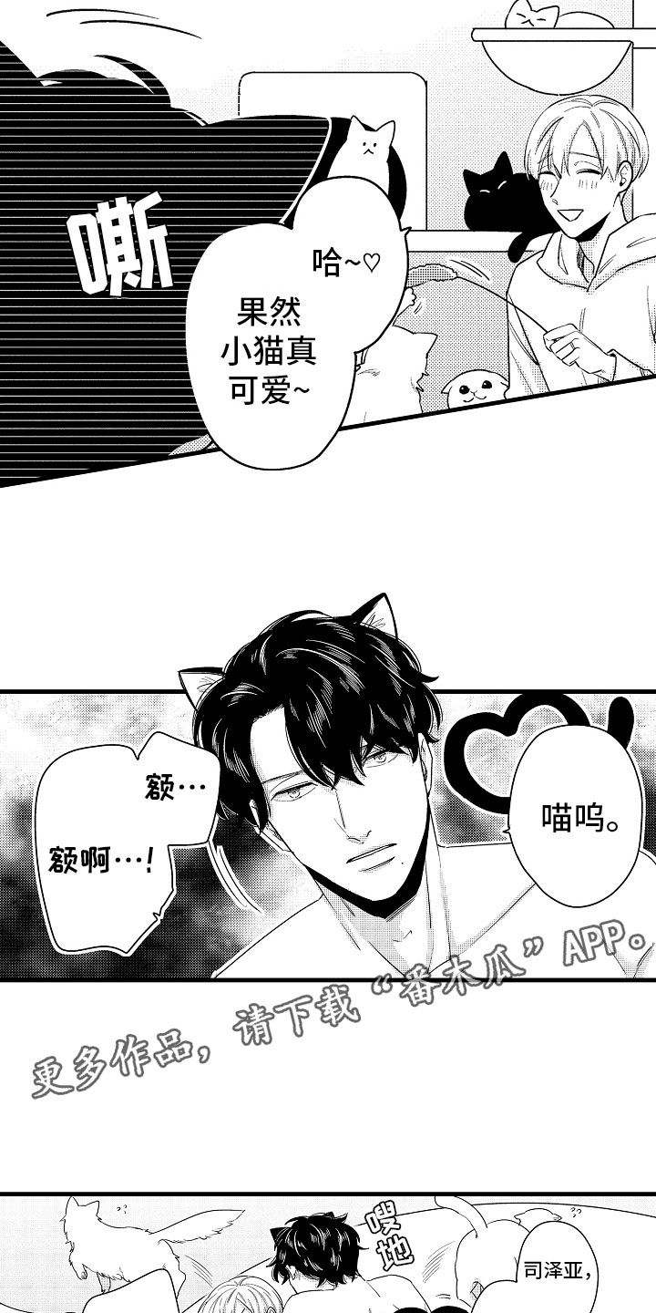《婚姻协奏曲》第15章比那更重要 第6页