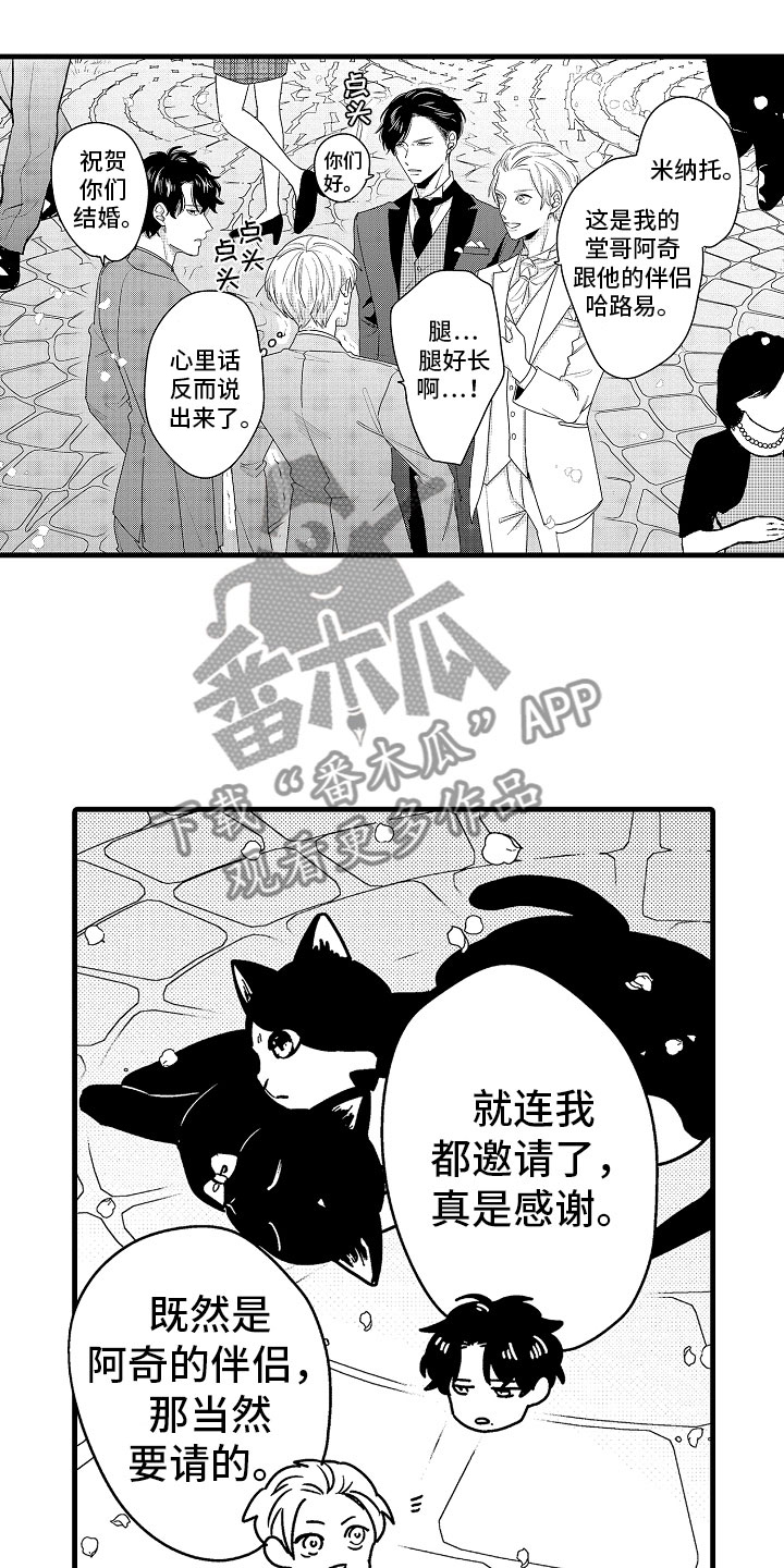 《婚姻协奏曲》第9章相背的想法 第1页