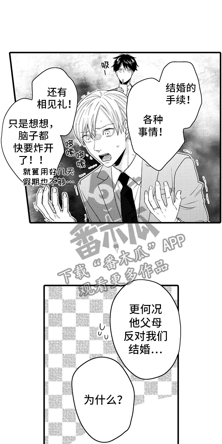 《婚姻协奏曲》第10章坏消息电话 第5页