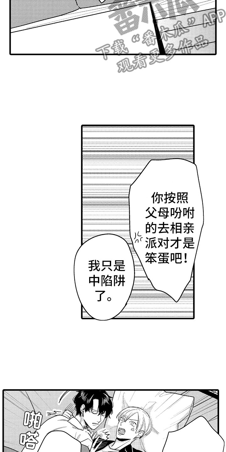 《婚姻协奏曲》第8章堂弟的对象 第15页