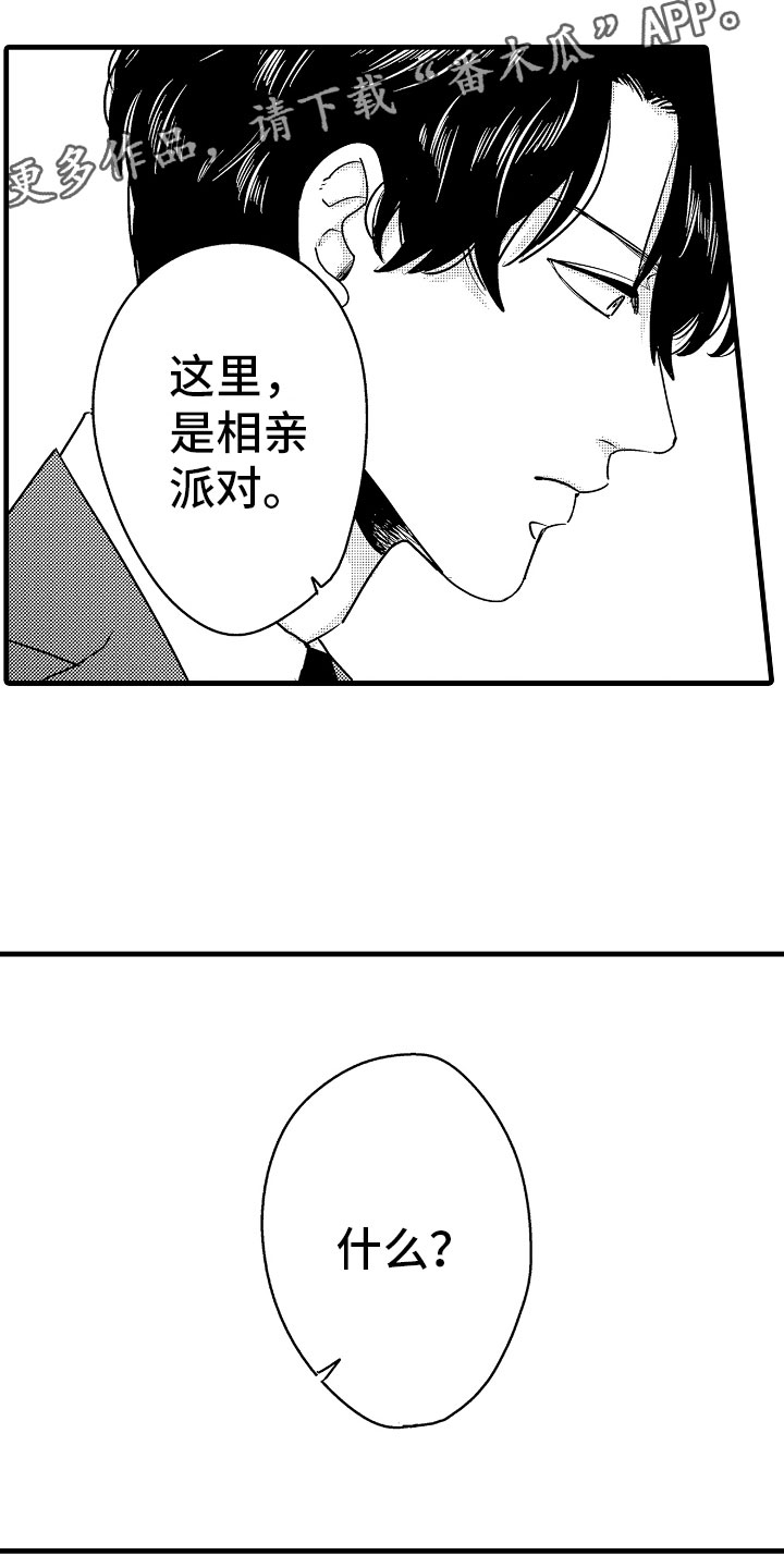《婚姻协奏曲》第7章意外的偶遇 第17页
