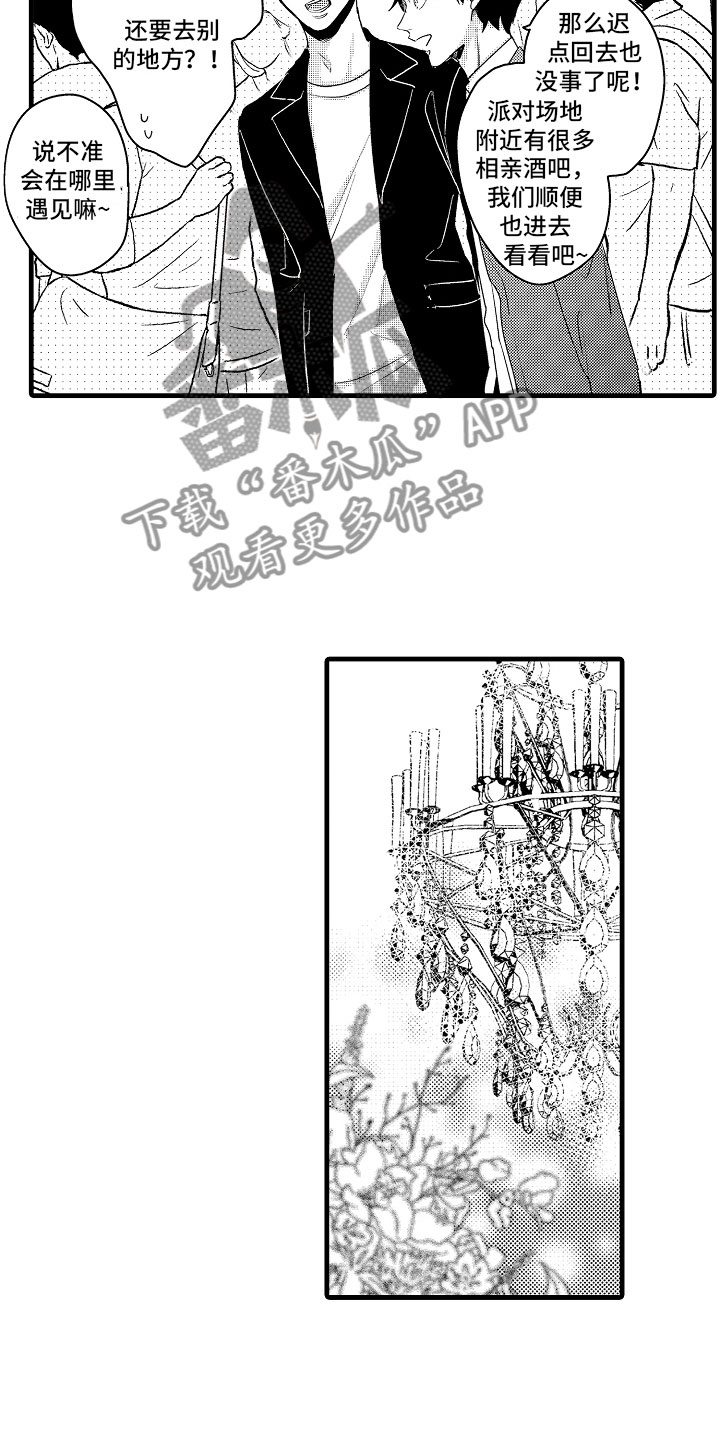 《婚姻协奏曲》第6章相亲的派对 第14页
