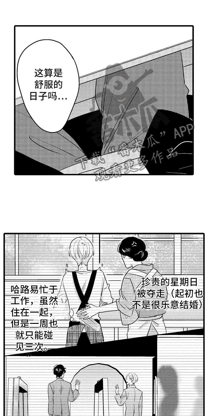 《婚姻协奏曲》第5章久违的重逢 第1页
