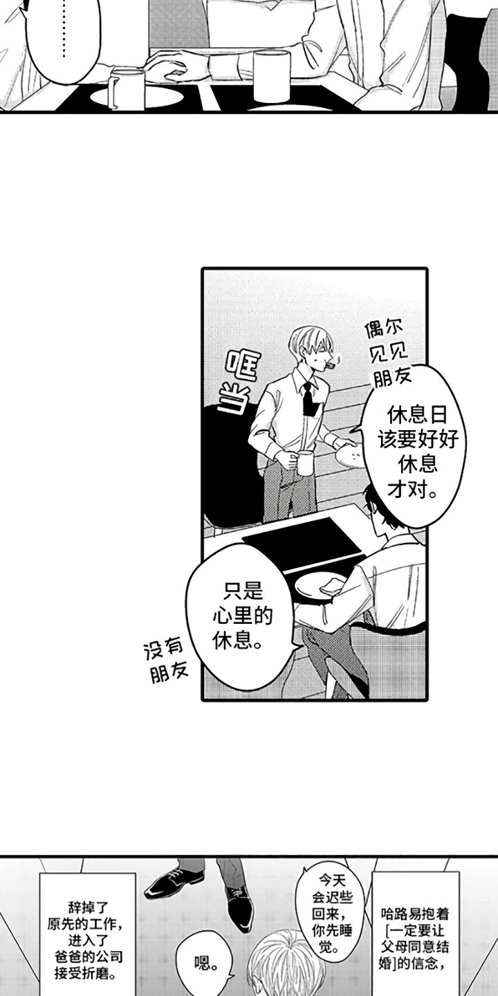 《婚姻协奏曲》第1章恋人与家庭 第11页