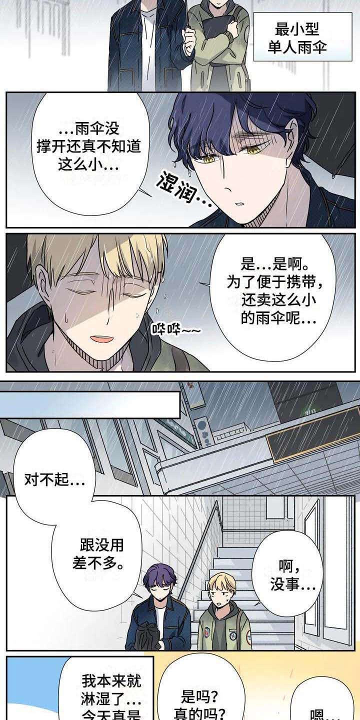 《杀手室友》第18章雨伞 第7页