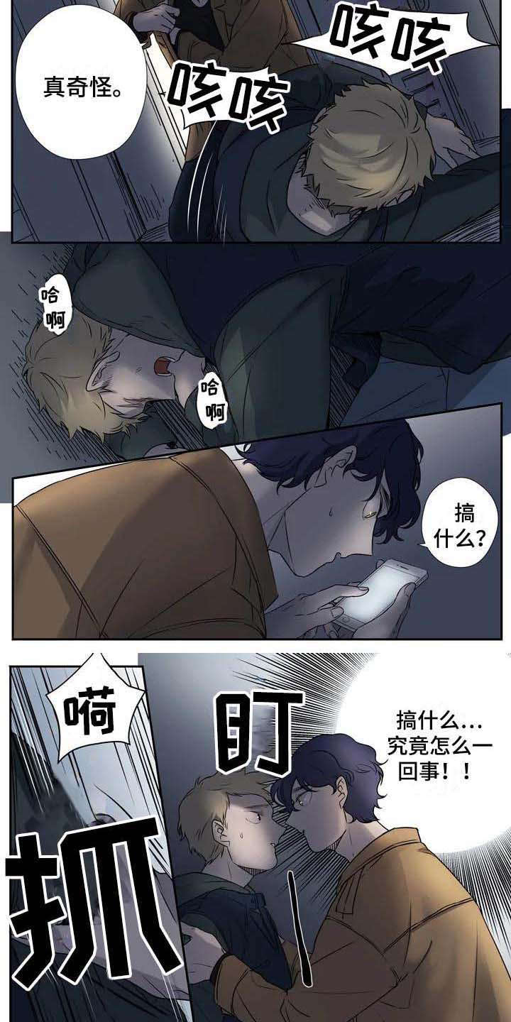 《杀手室友》第4章认错人 第4页