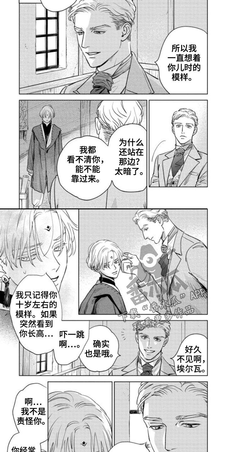 《晨曦之歌》第42章不老神话 第10页