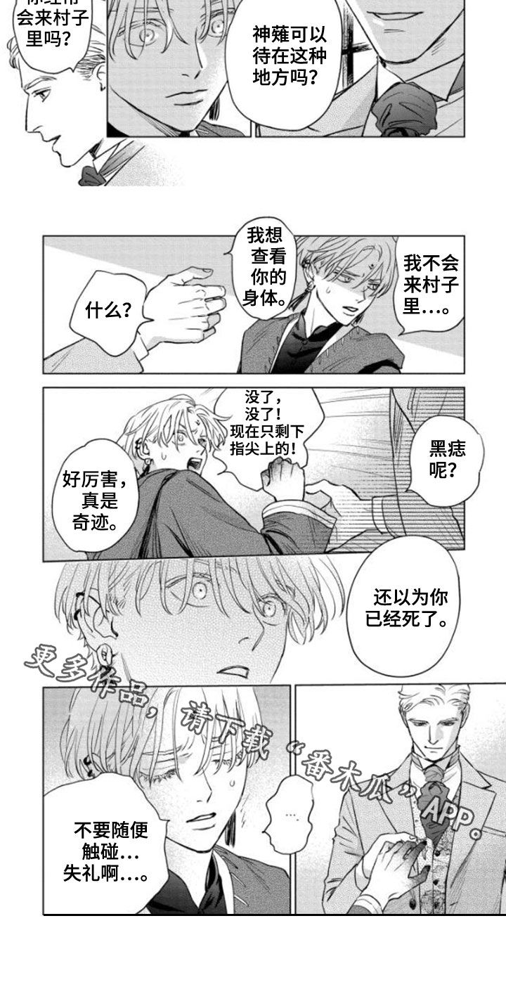 《晨曦之歌》第42章不老神话 第11页