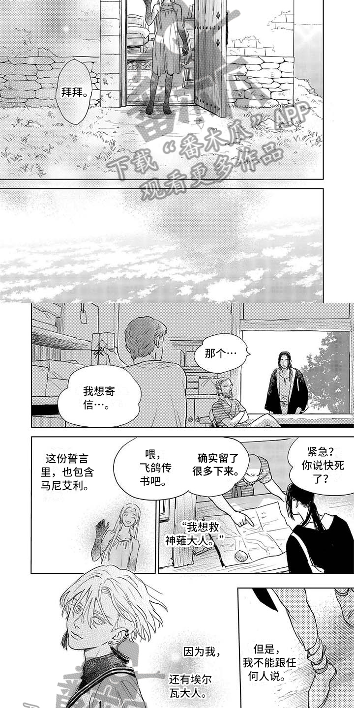 《晨曦之歌》第29章寄信 第3页