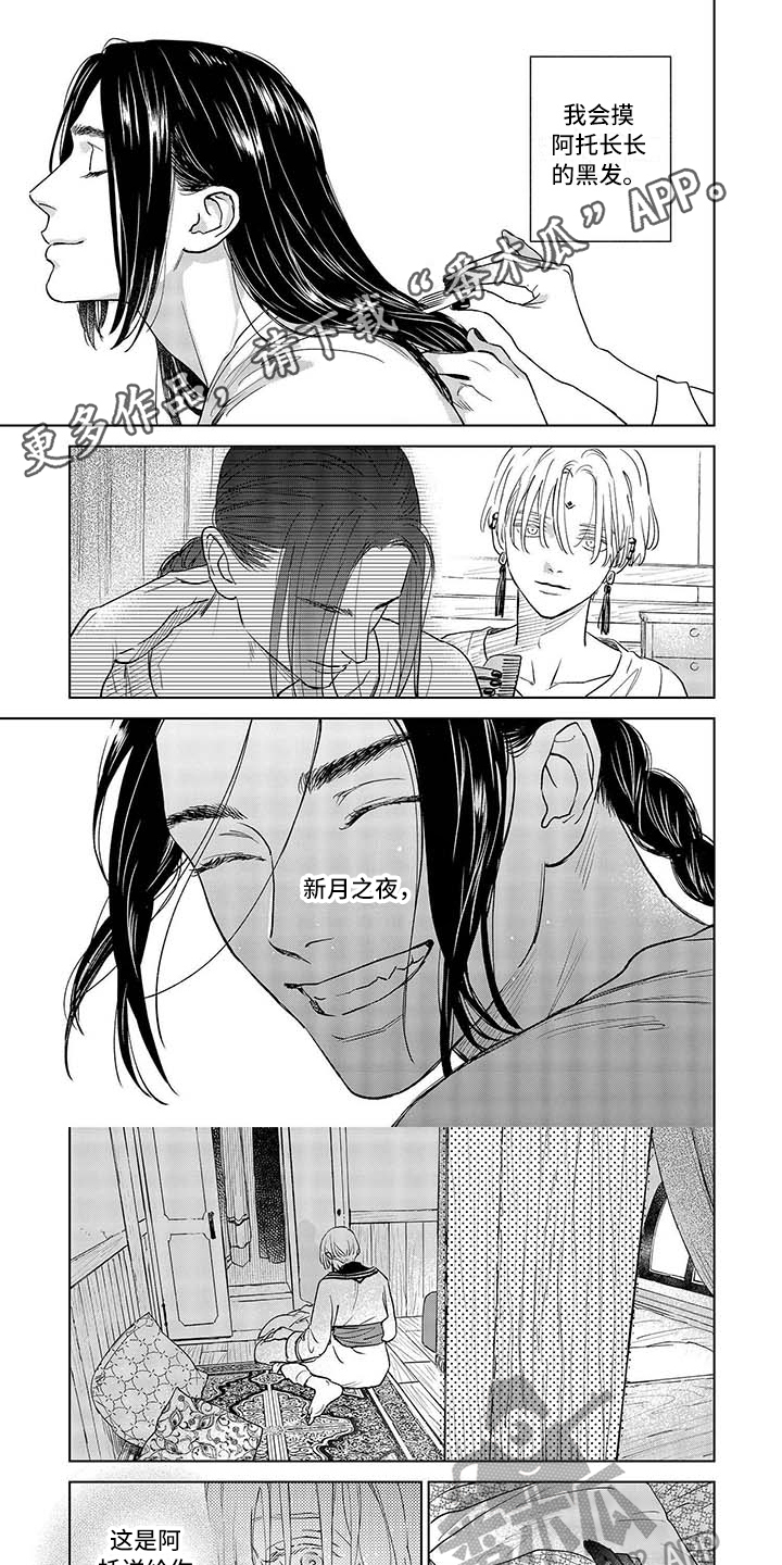 《晨曦之歌》第30章寻找 第1页