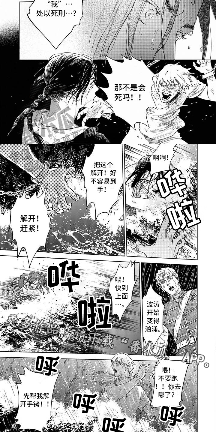 《晨曦之歌》第22章危险 第5页