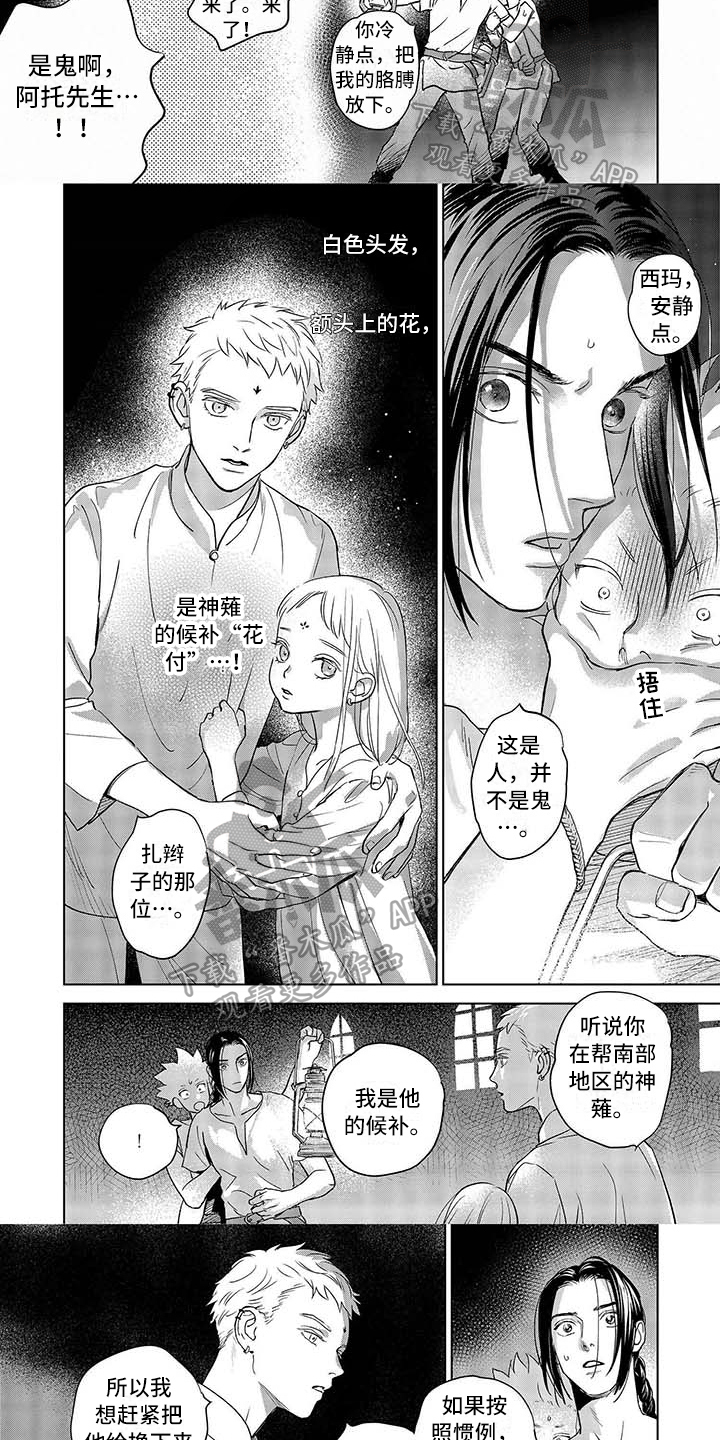 《晨曦之歌》第17章异常 第5页
