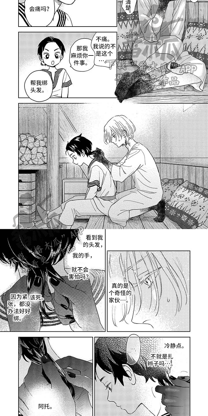 《晨曦之歌》第7章决定 第3页