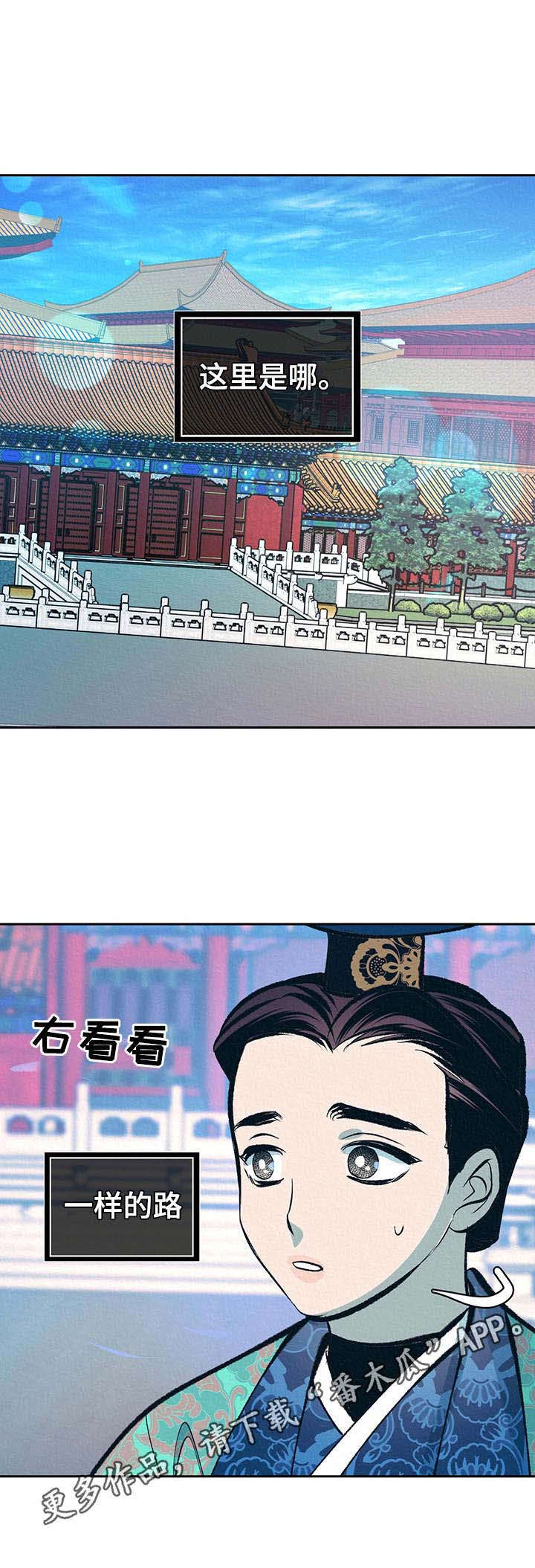 《皇帝秘闻》第20章皇太子 第8页