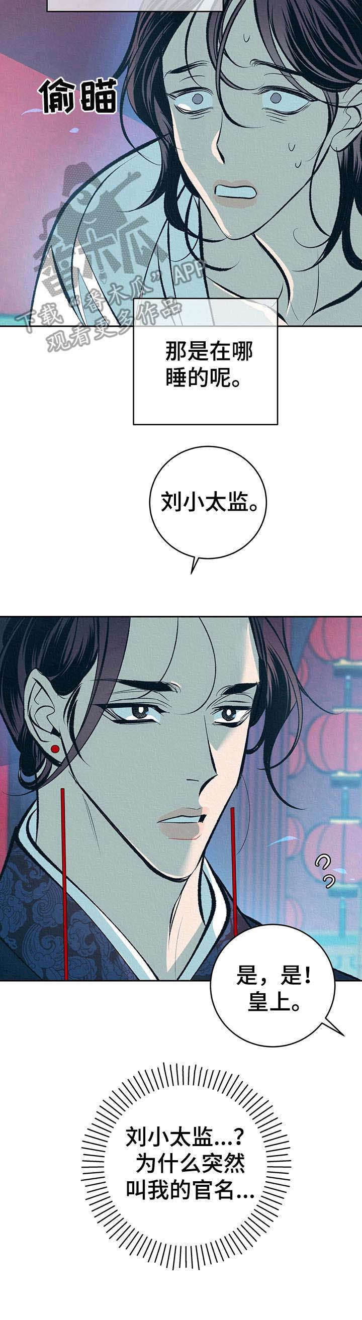 《皇帝秘闻》第15章晕倒 第17页