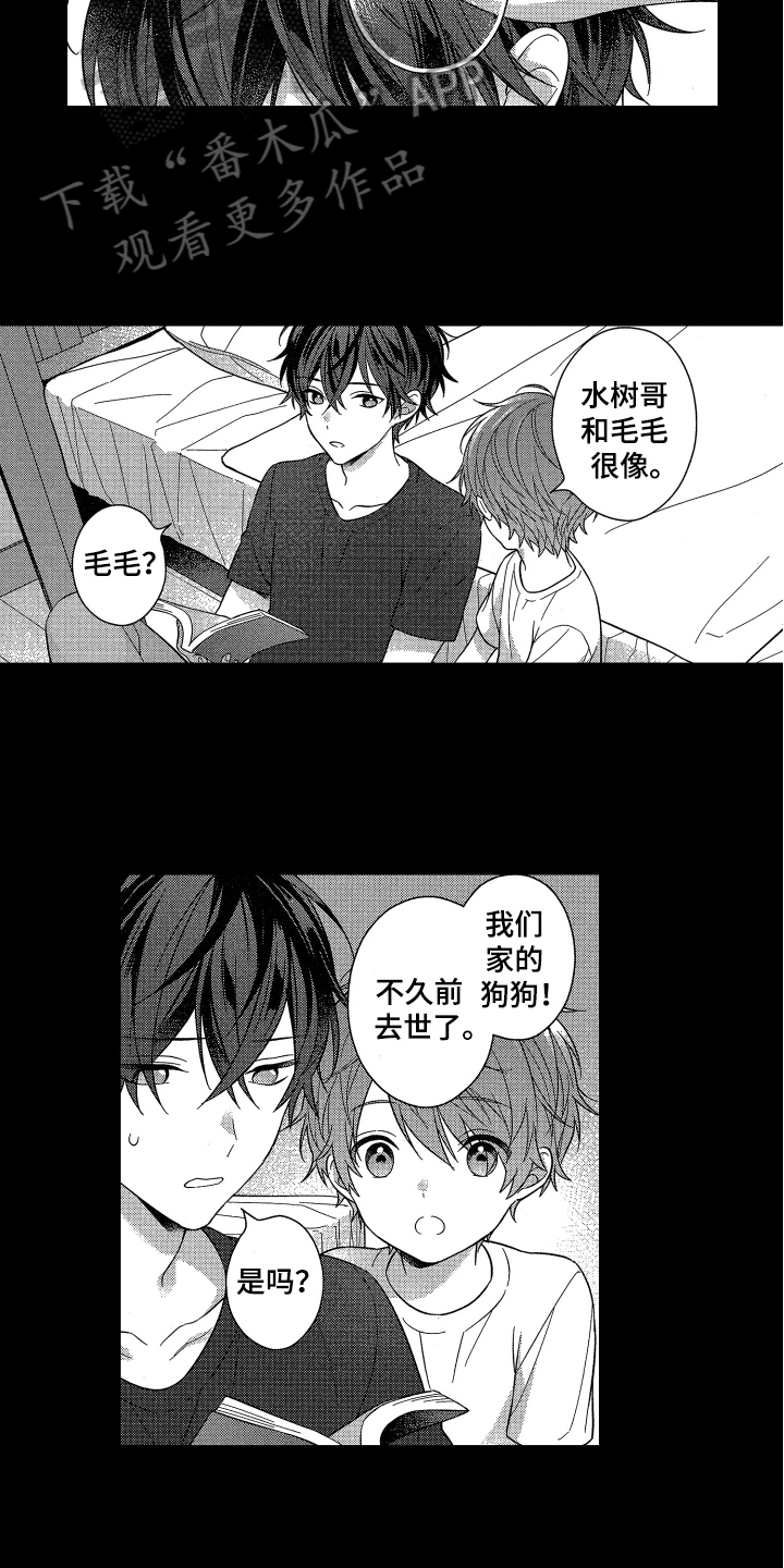 《融化的吻》第17章摸头发 第10页
