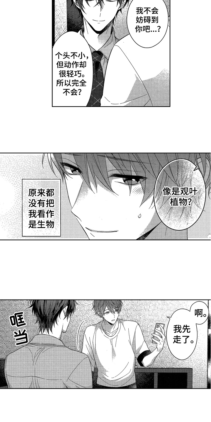 《融化的吻》第2章耀眼 第4页