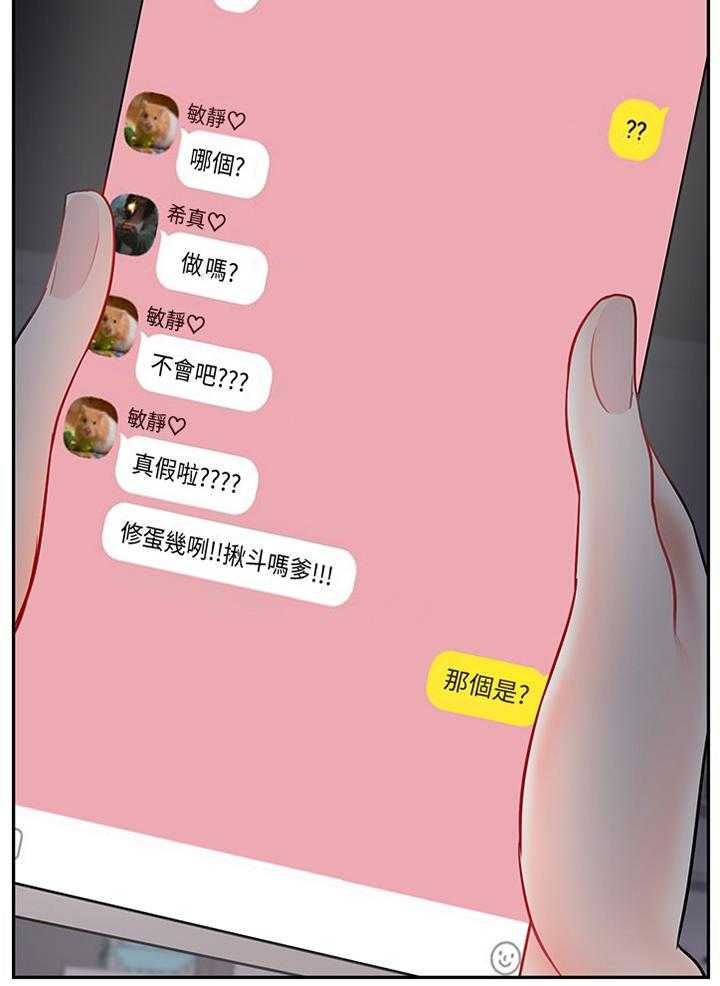 《堕落报复》第43话 43_聊天记录 第17页