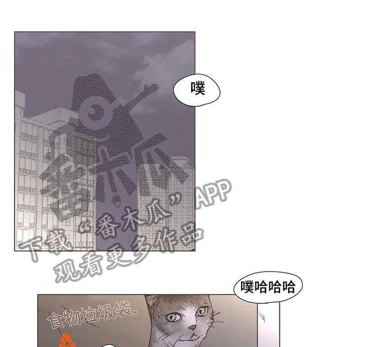 《狗的项圈》第12话 12_走着瞧 第1页